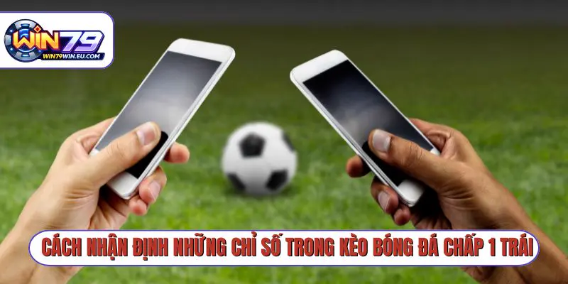 Cách nhận định những chỉ số trong kèo bóng đá chấp 1 trái
