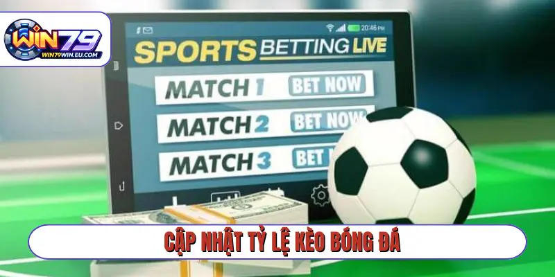 cập nhật tỷ lệ kèo bóng đá